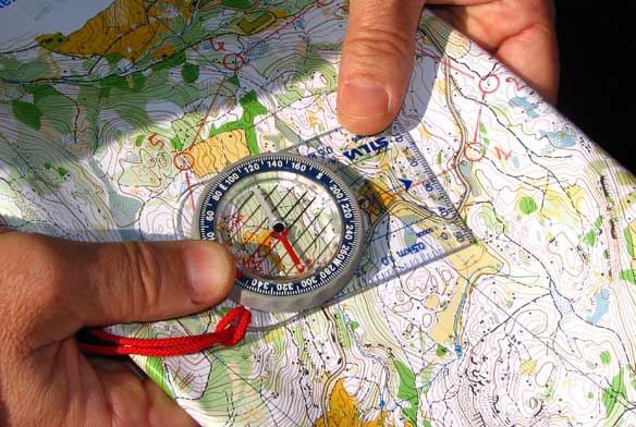 Orienteering-1.jpg